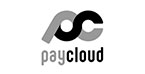 ペイクラウドホールディングス株式会社